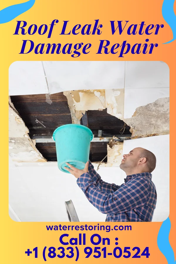 Roof Leak Water Damage Repair in Wiley, CO
